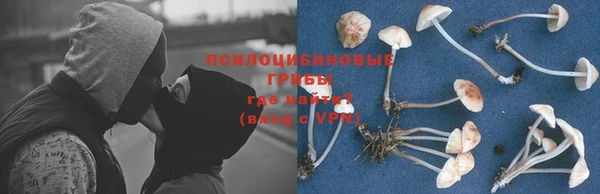 бошки Аркадак