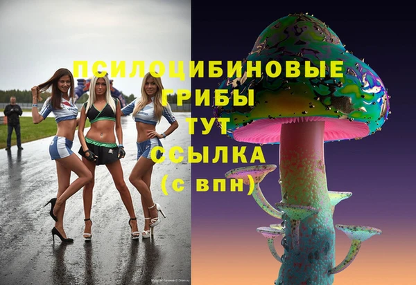каннабис Арсеньев