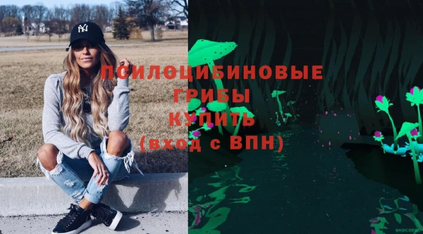 бошки Аркадак
