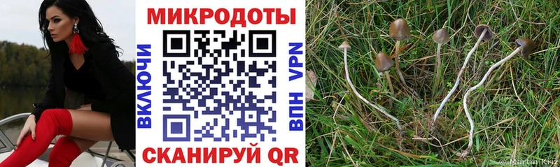 гидра маркетплейс  Кодинск  Псилоцибиновые грибы Psilocybine cubensis 